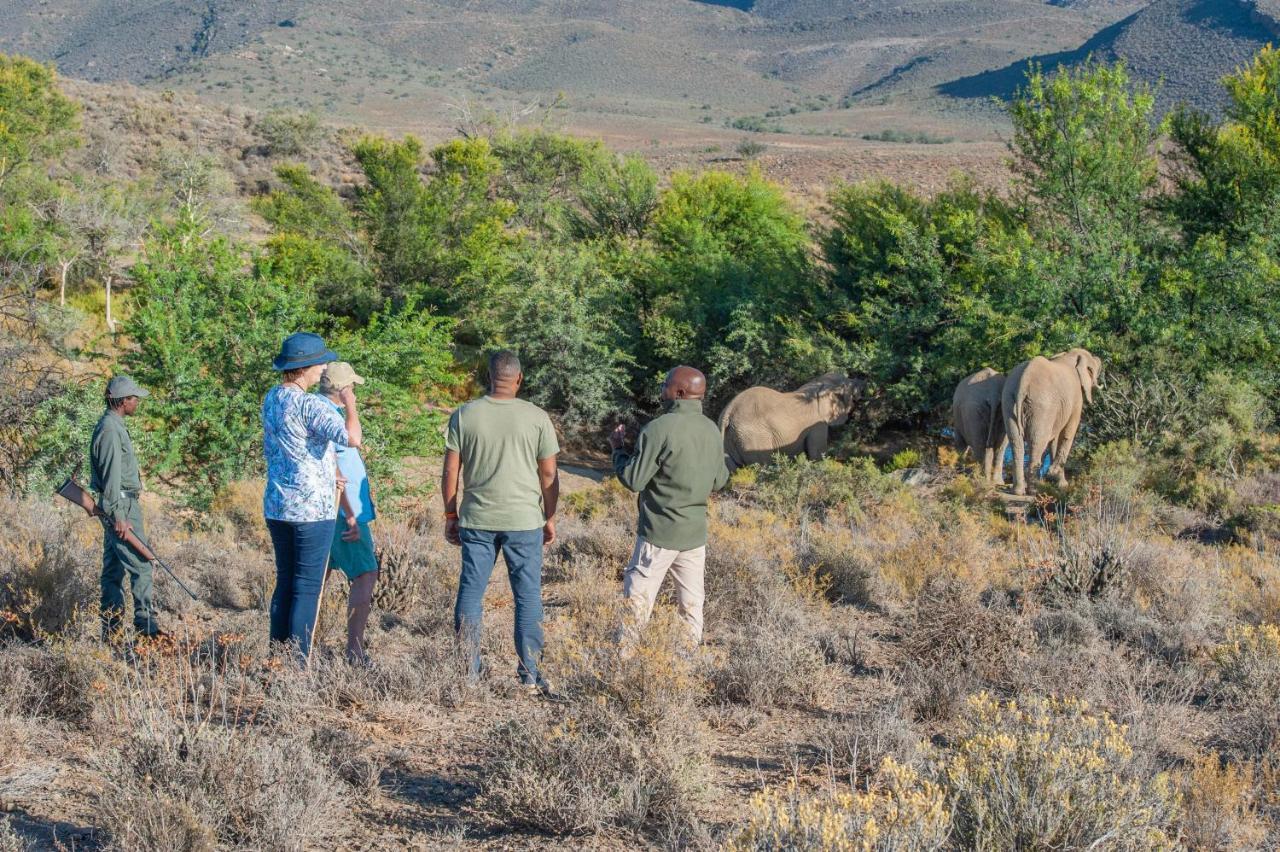 Mont Eco Game Reserve مونتاغو المظهر الخارجي الصورة